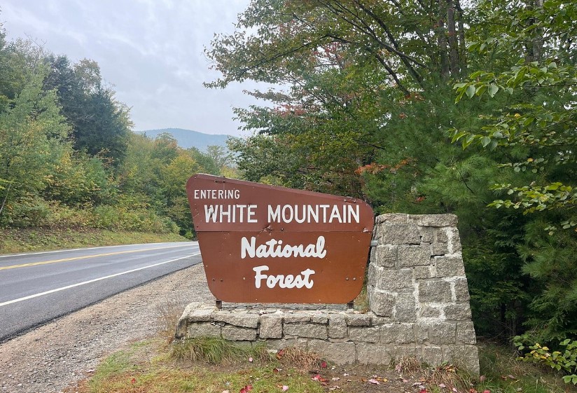 white mountain national forest
