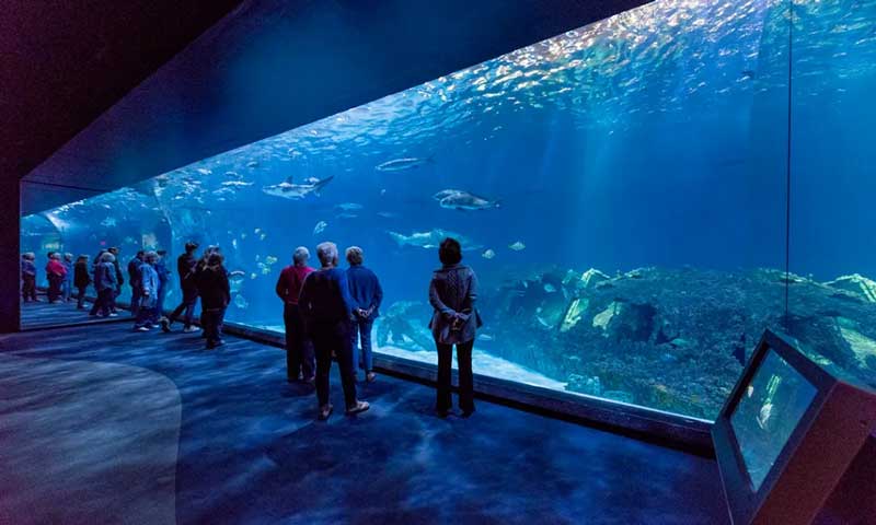 North Carolina Aquarium