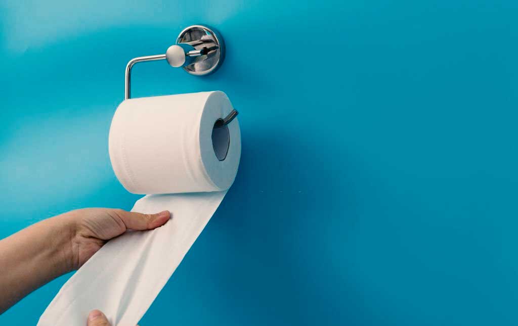 The Perfect Height Of Toilet Paper Holders Why It Matters   Perfect Height Of Toilet Paper Holders 